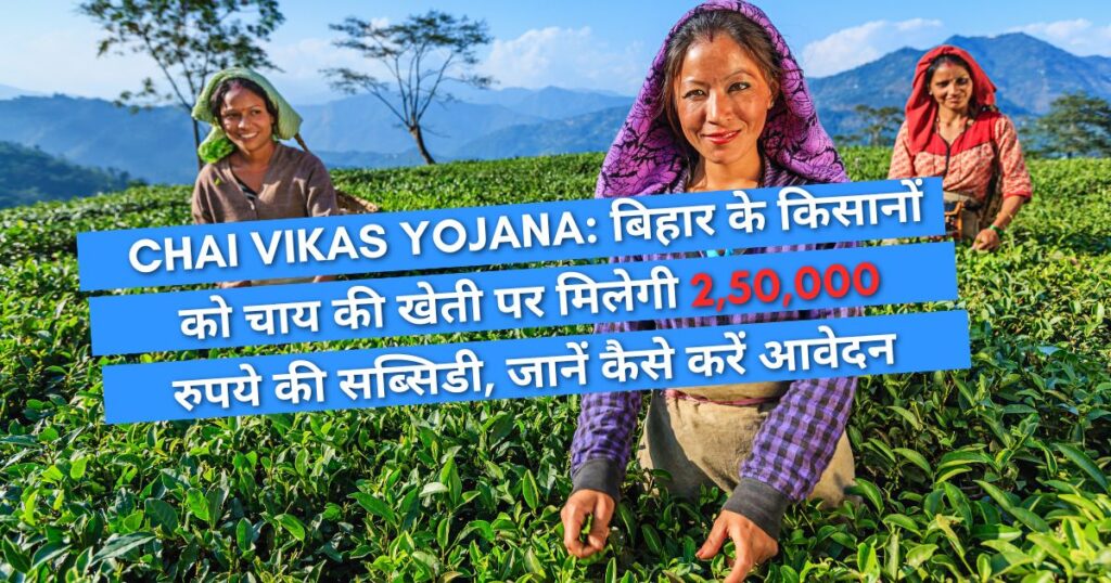 Chai Vikas Yojana